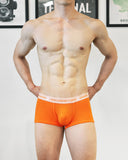 UNDERSTAND<br>TRUNK / U4723<br>(MARIGOLD ORANGE)
