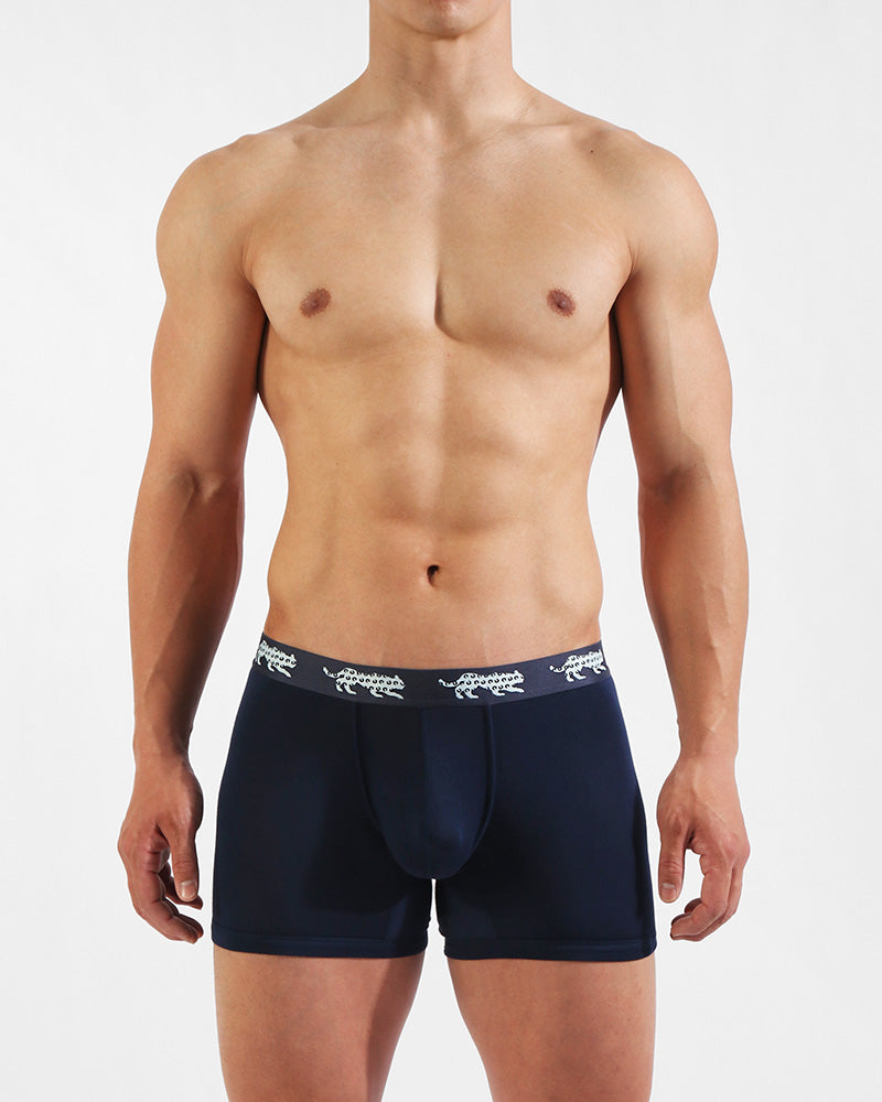 UNDERSTAND－Japanese Men's Underwear Brand－Boxer-Brief/U Convex Capsule