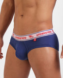 UNDERSTAND<br>BRIEF / U3813<br>(SWALLOW TRANSPORT CO.)
