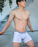 UNDERSTAND<br>長版四角/U5633 (菱紋白)