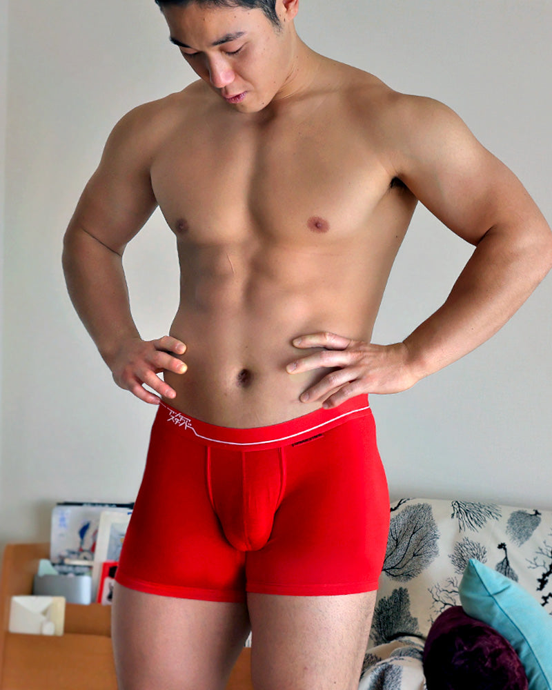 UNDERSTAND｜BOXER-BRIEF / U1933｜(POINSETTIA)