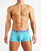 UNDERSTAND｜TRUNK / U3823｜(PENGUIN LAUNDRY)