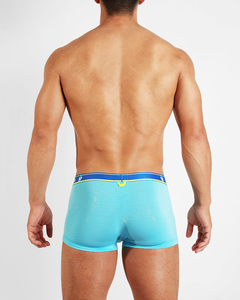 UNDERSTAND｜TRUNK / U3823｜(PENGUIN LAUNDRY)