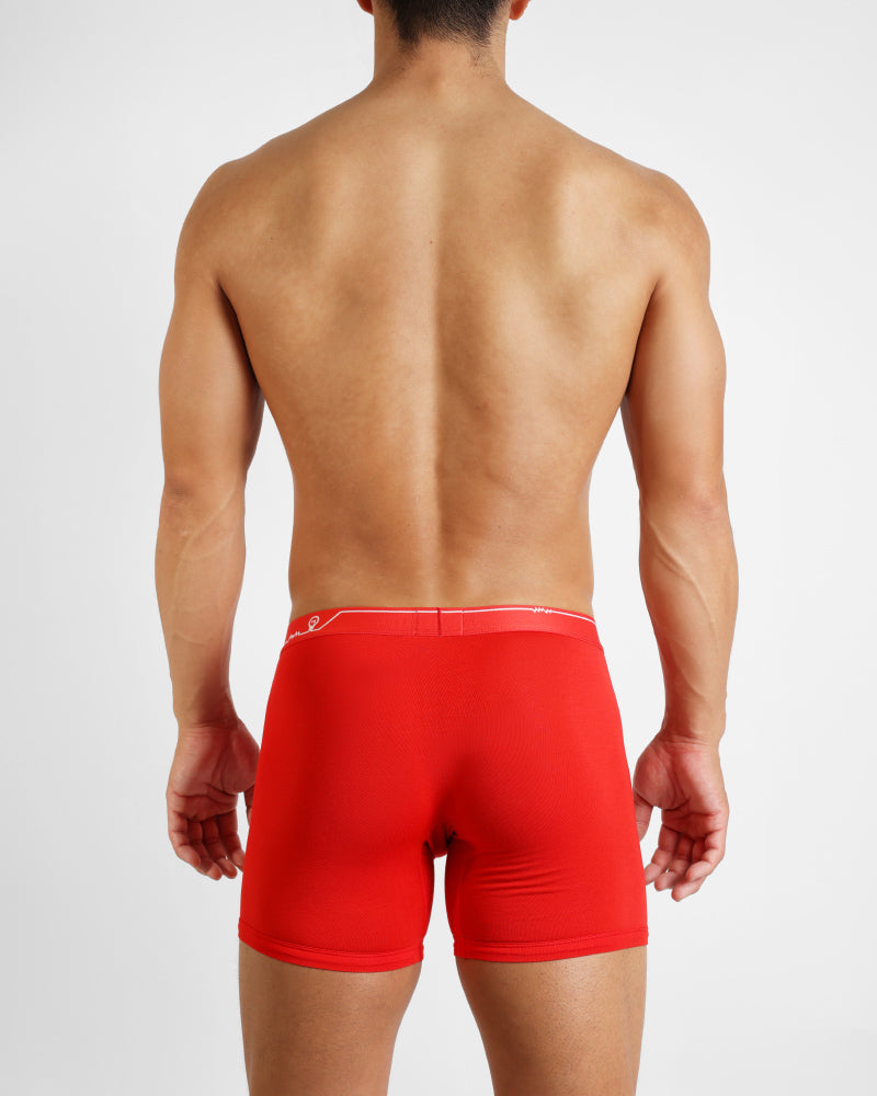 UNDERSTAND｜BOXER-BRIEF / U1933｜(POINSETTIA)