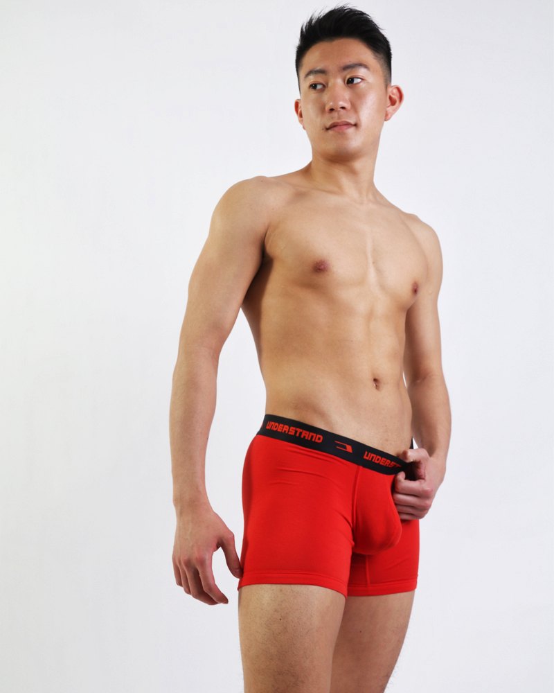 UNDERSTAND－Japanese Men's Underwear Brand－Boxer-Brief/U Convex Capsule